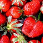 Erdbeeren (c) Margrit Wittwer / pixelio.de