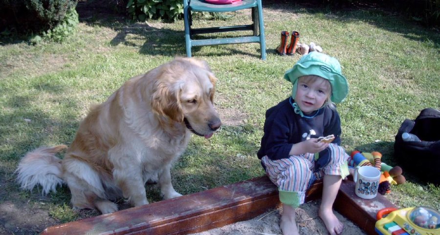 Kind am Sandkasten mit Hund (c) H. Braun / pixelio.de
